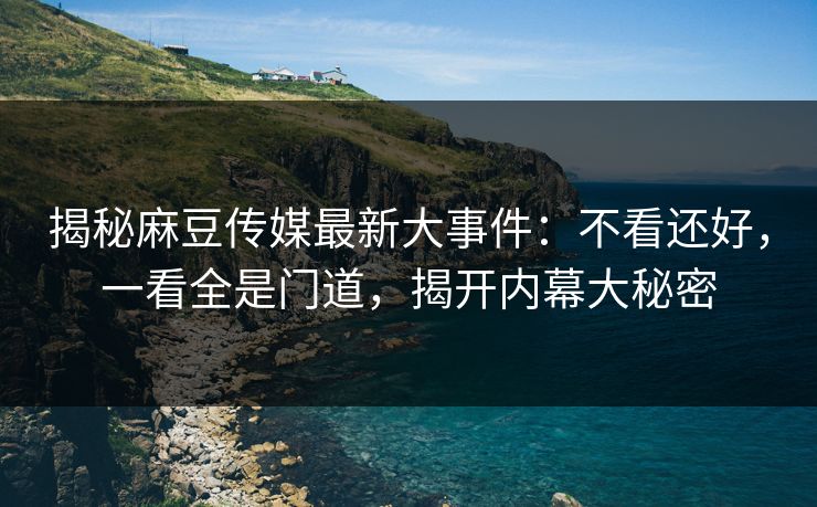 揭秘麻豆传媒最新大事件：不看还好，一看全是门道，揭开内幕大秘密  第1张