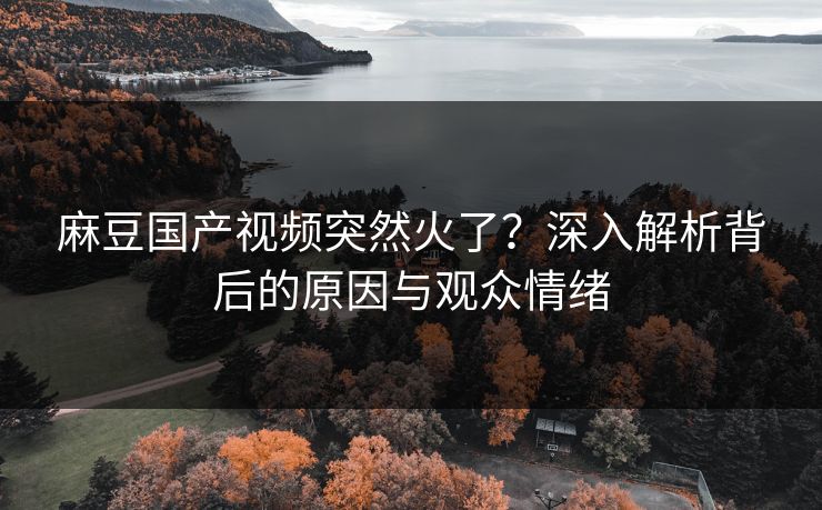 麻豆国产视频突然火了？深入解析背后的原因与观众情绪  第1张