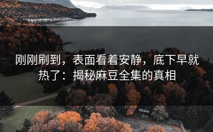 刚刚刷到，表面看着安静，底下早就热了：揭秘麻豆全集的真相  第1张