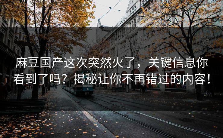 麻豆国产这次突然火了，关键信息你看到了吗？揭秘让你不再错过的内容！  第1张