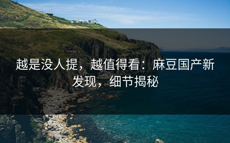 越是没人提，越值得看：麻豆国产新发现，细节揭秘  第1张