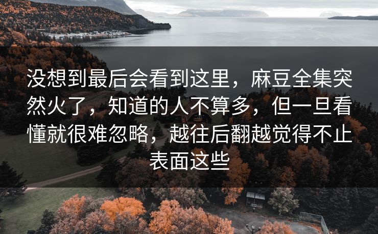 没想到最后会看到这里，麻豆全集突然火了，知道的人不算多，但一旦看懂就很难忽略，越往后翻越觉得不止表面这些  第1张
