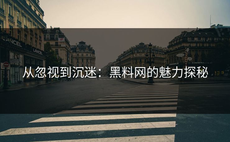 从忽视到沉迷：黑料网的魅力探秘  第1张