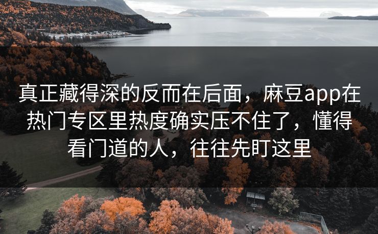 真正藏得深的反而在后面，麻豆app在热门专区里热度确实压不住了，懂得看门道的人，往往先盯这里  第1张