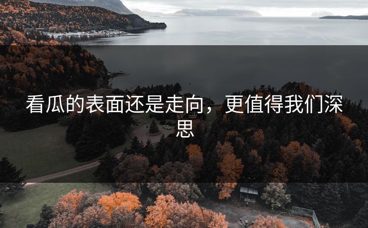 看瓜的表面还是走向,更值得我们深思 第1张 看瓜的表面还是走向,更值得我们深思 第1张
