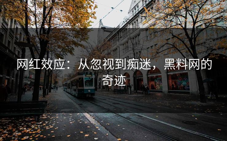 网红效应：从忽视到痴迷，黑料网的奇迹  第1张