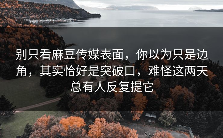 别只看麻豆传媒表面，你以为只是边角，其实恰好是突破口，难怪这两天总有人反复提它  第1张