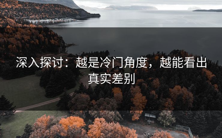 深入探讨:越是冷门角度,越能看出真实差别 第1张 深入探讨:越是冷门角度,越能看出真实差别 第1张