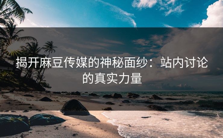 揭开麻豆传媒的神秘面纱：站内讨论的真实力量  第1张