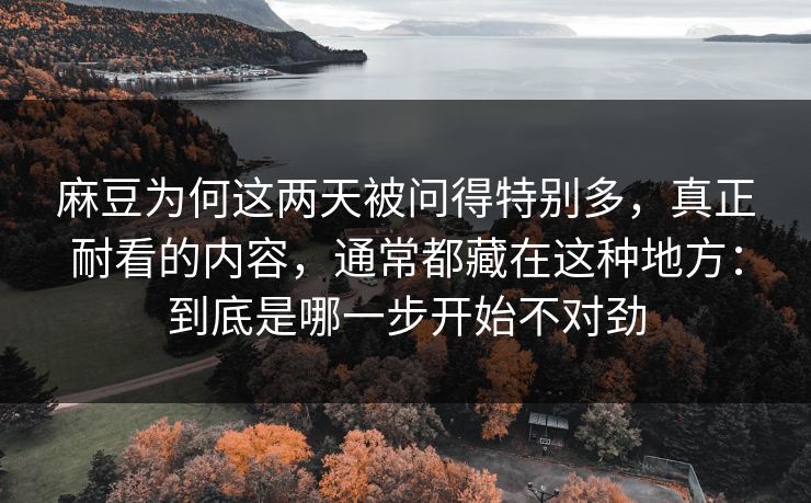 麻豆为何这两天被问得特别多，真正耐看的内容，通常都藏在这种地方：到底是哪一步开始不对劲  第1张
