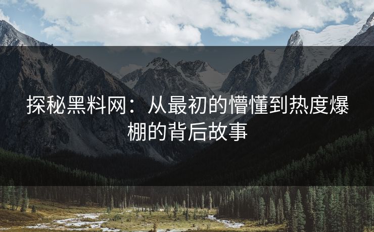 探秘黑料网：从最初的懵懂到热度爆棚的背后故事